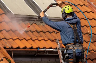 Démoussage et hydrofuge de toiture à Roynac